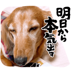 poohnyan04062