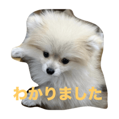 natsuki_20250503191229