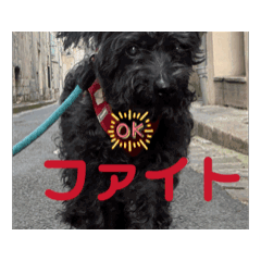 Miki_20250503182756