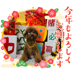 狗ㄦ滷蛋part5