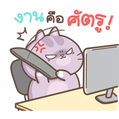 Mamwng Chubby cat