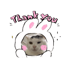 miki_20250504095839