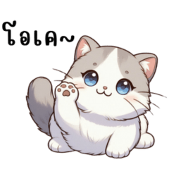 Milk Tea Cat and a Lazy Day