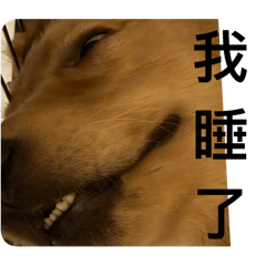 李鐵雄先生