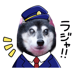 Miya_20250503210102