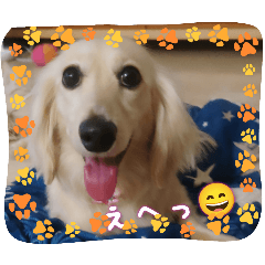 kaoru_20250503211355