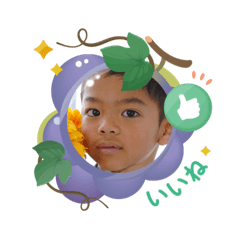 Hide_20250503163503