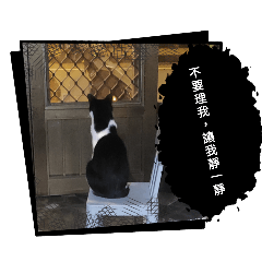 wdfgyu
