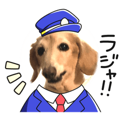 Yoshi_20250503182819