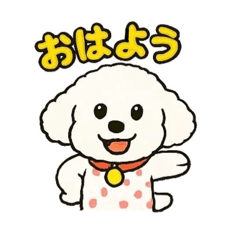 トイプーほっこり日常