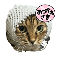Sue_20250503223448