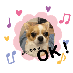 mai_20250503194023