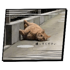 psuke_20250503194158