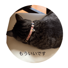 Ak_20250503194622