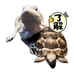 Taka_20250503235938