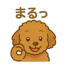 toy poodle chibi maru