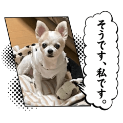 BEN_20250504012138