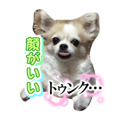 BEN_20250504011938