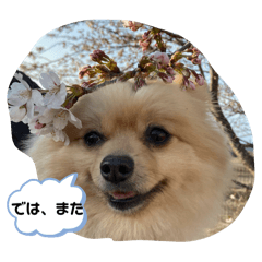 Anzu_20250503212227