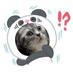 胖卡2