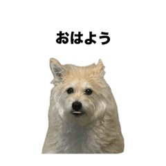 m_20250504035043