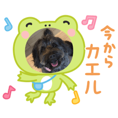 kaito_20250504042349