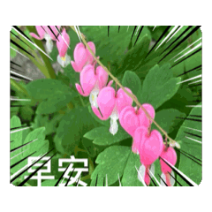 快樂520嬌嬌
