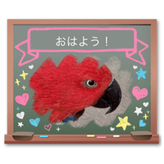 kasuporo_20250503180758