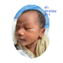 collection of ploy_20250503233315