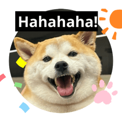 Hachi part 3.