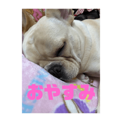 あいうエキゾチック