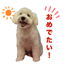 m_20250504004451