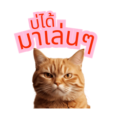 Bubblebee_20250504013904