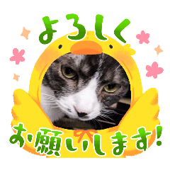 yu_2025426