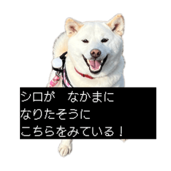 shiro_20250503boorpgfoo