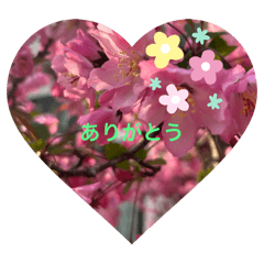 akiko_20250503220532