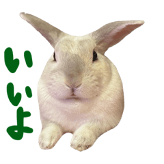 omochimofumofu