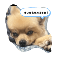 Anzu_20250504072748