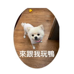 我是多多歐