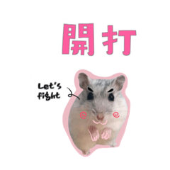 Sweet Hamster