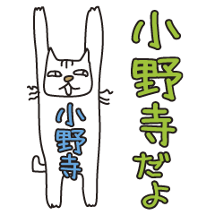Only for Mr. Onodera Banzai Cat