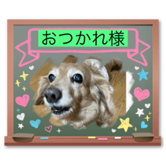hiro_20250503114653