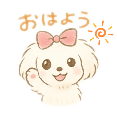 White Maltese