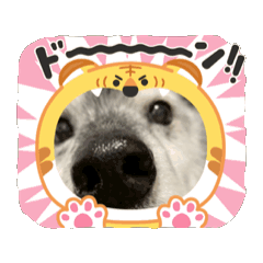 maki_20250504112710