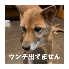 R_20250503125307