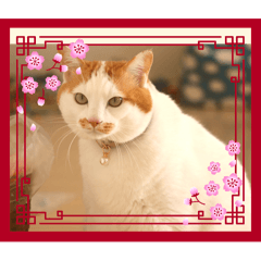 yuki_20250504094912