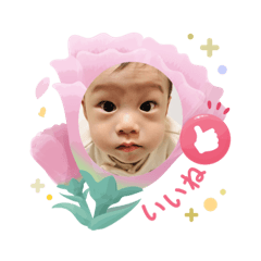 Haru_20250504101523