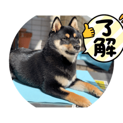 Kyoko_20250504101724