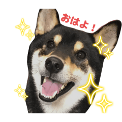 HARU_20250504103843