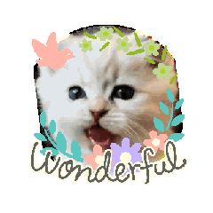 GRAPE_20250504101519